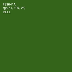 #33641A - Dell Color Image