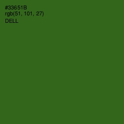 #33651B - Dell Color Image