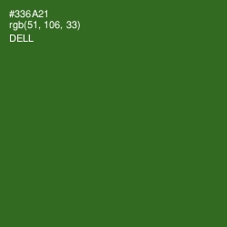 #336A21 - Dell Color Image