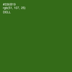 #336B19 - Dell Color Image