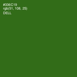 #336C19 - Dell Color Image