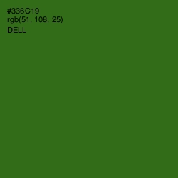 #336C19 - Dell Color Image