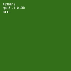 #336E19 - Dell Color Image