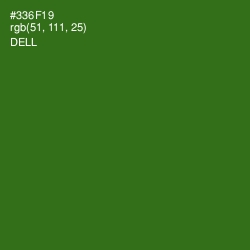 #336F19 - Dell Color Image