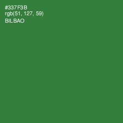#337F3B - Bilbao Color Image