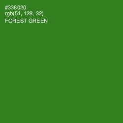 #338020 - Forest Green Color Image