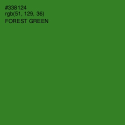 #338124 - Forest Green Color Image