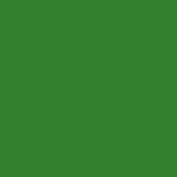 #33812E - Forest Green Color Image