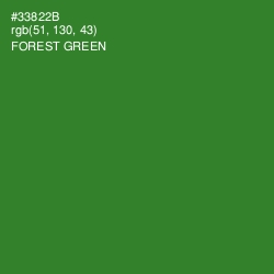 #33822B - Forest Green Color Image