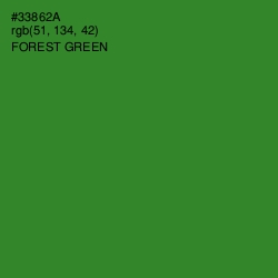 #33862A - Forest Green Color Image