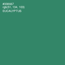 #338667 - Eucalyptus Color Image