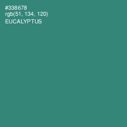#338678 - Eucalyptus Color Image