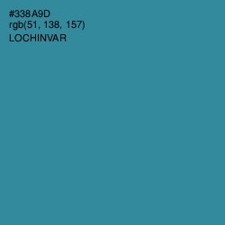 #338A9D - Lochinvar Color Image