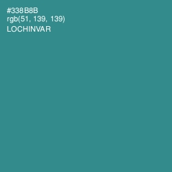 #338B8B - Lochinvar Color Image