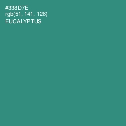 #338D7E - Eucalyptus Color Image