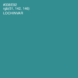 #338E92 - Lochinvar Color Image