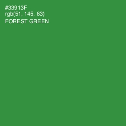 #33913F - Forest Green Color Image