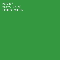 #33983F - Forest Green Color Image