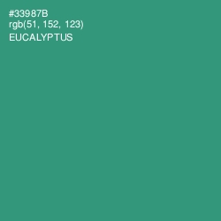#33987B - Eucalyptus Color Image
