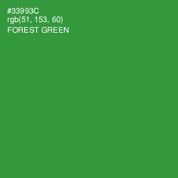 #33993C - Forest Green Color Image