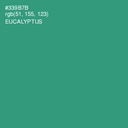 #339B7B - Eucalyptus Color Image