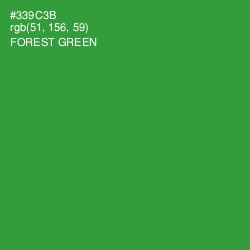 #339C3B - Forest Green Color Image