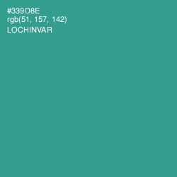 #339D8E - Lochinvar Color Image