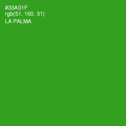 #33A01F - La Palma Color Image