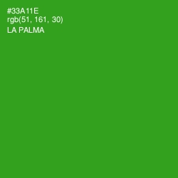 #33A11E - La Palma Color Image