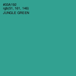 #33A192 - Jungle Green Color Image