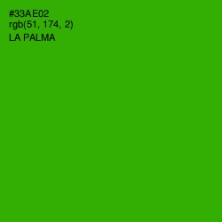 #33AE02 - La Palma Color Image