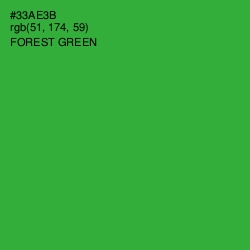 #33AE3B - Forest Green Color Image