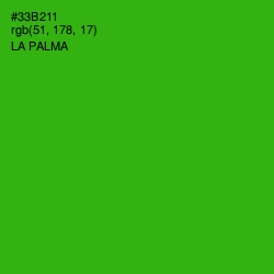 #33B211 - La Palma Color Image