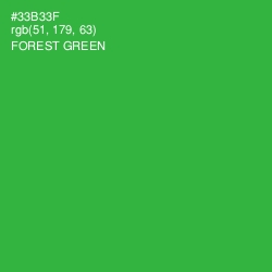 #33B33F - Forest Green Color Image