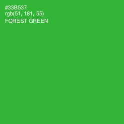 #33B537 - Forest Green Color Image