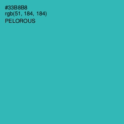 #33B8B8 - Pelorous Color Image