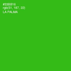 #33BB16 - La Palma Color Image