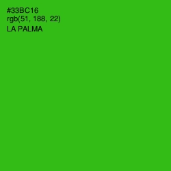 #33BC16 - La Palma Color Image