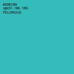 #33BCB9 - Pelorous Color Image