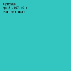 #33C5BF - Puerto Rico Color Image