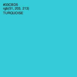 #33CBD5 - Turquoise Color Image