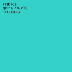 #33D1C8 - Turquoise Color Image