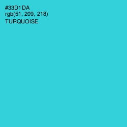 #33D1DA - Turquoise Color Image