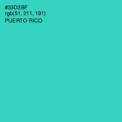 #33D3BF - Puerto Rico Color Image