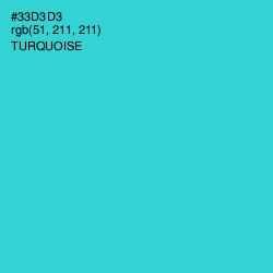 #33D3D3 - Turquoise Color Image