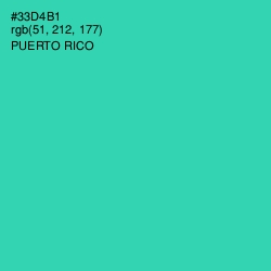 #33D4B1 - Puerto Rico Color Image