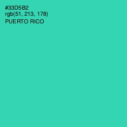 #33D5B2 - Puerto Rico Color Image