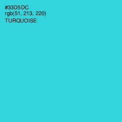 #33D5DC - Turquoise Color Image