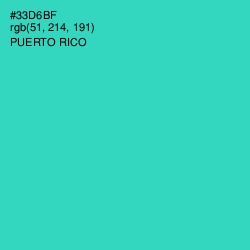 #33D6BF - Puerto Rico Color Image