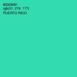 #33DBB1 - Puerto Rico Color Image